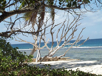 Alquiler catamaranes Seychelles