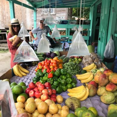 mercadops-navegar-alquiler-barcos